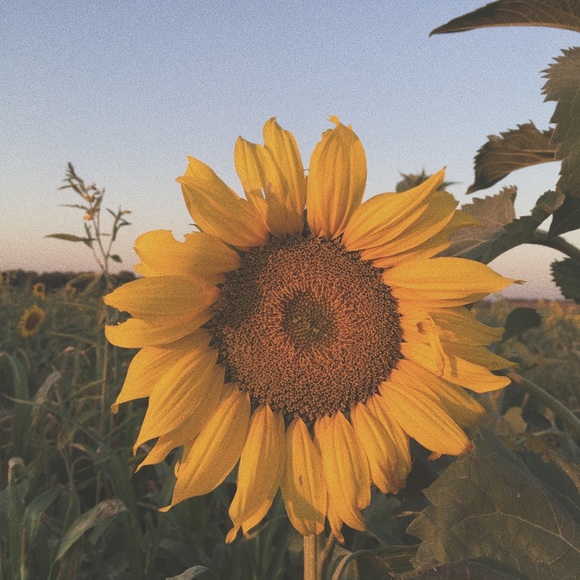 Meet your Posher, Katherine - Picture 1 of 1